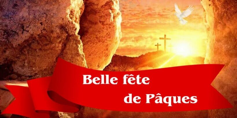 whatsapp image 2026 04 05 at 00.38.50